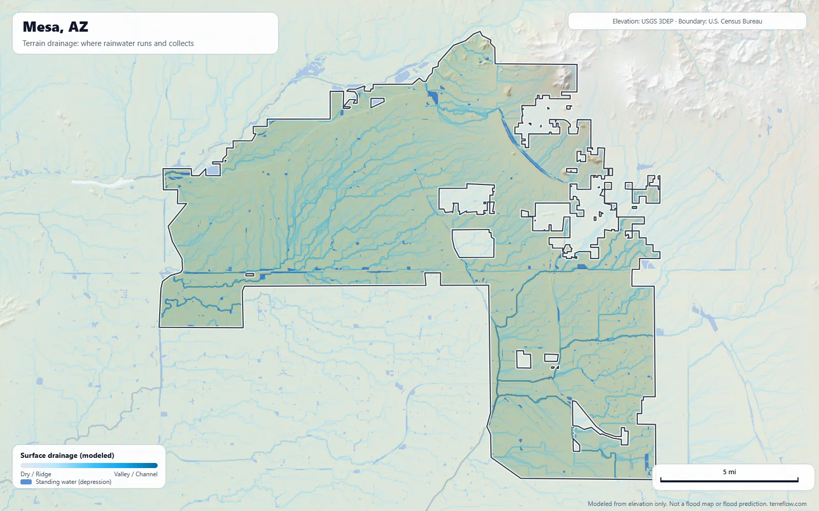 Terrain drainage map of Mesa, AZ: modeled paths where rainwater runs and collects, from USGS 3DEP elevation data, with the city boundary