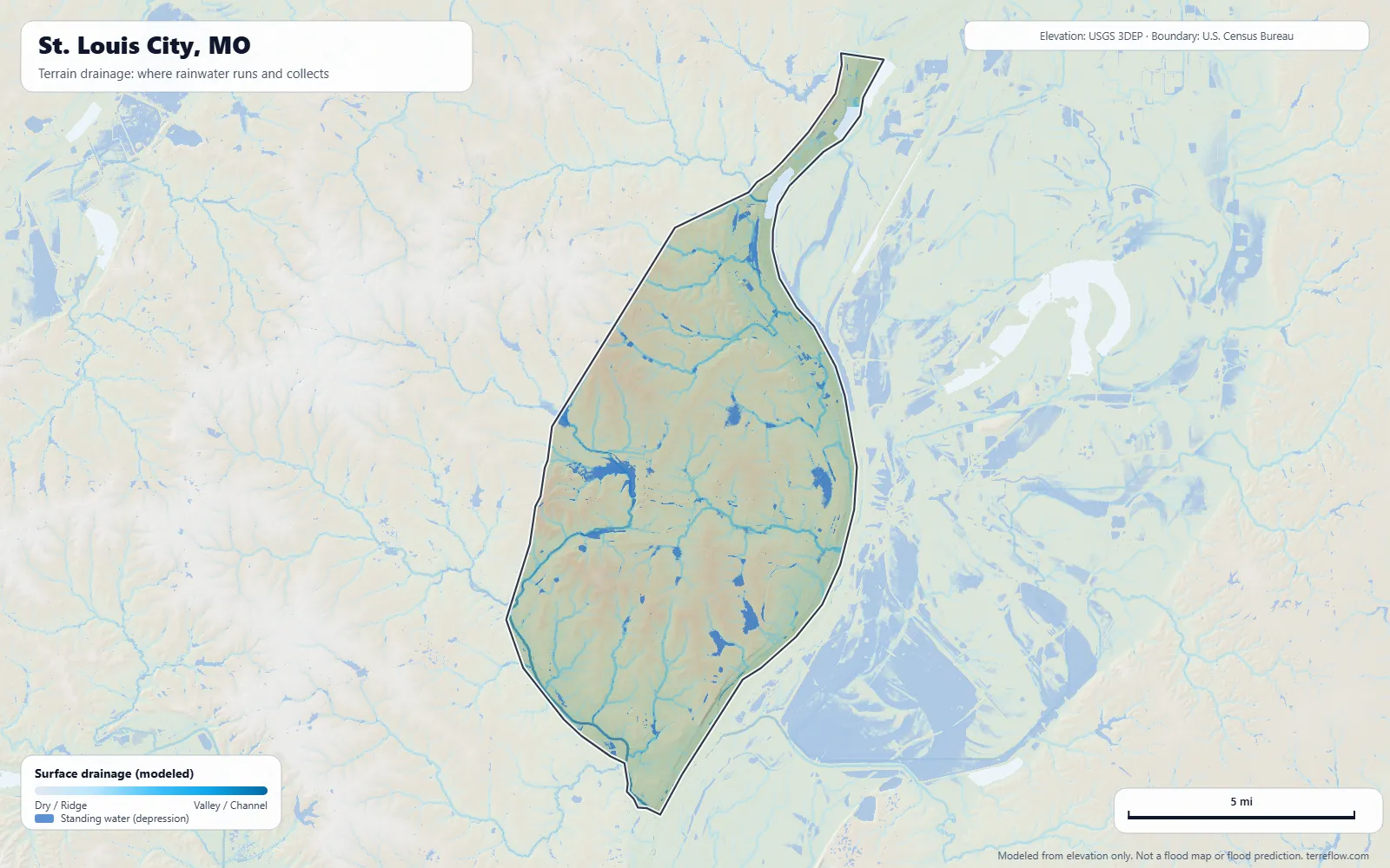 Terrain drainage map of St. Louis City, MO: modeled paths where rainwater runs and collects, from USGS 3DEP elevation data, with the city boundary