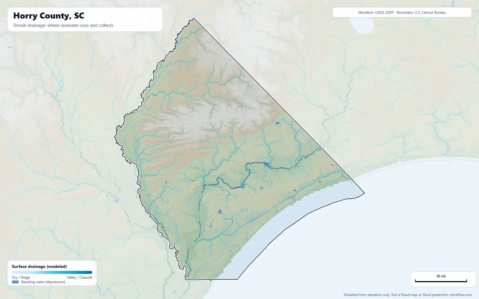 Terrain drainage map of Horry County, SC: modeled paths where rainwater runs and collects, from USGS 3DEP elevation data, with the county boundary