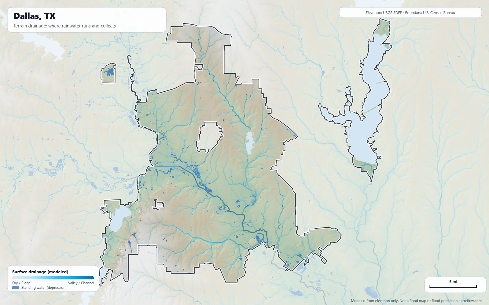 Terrain drainage map of Dallas, TX: modeled paths where rainwater runs and collects, from USGS 3DEP elevation data, with the city boundary