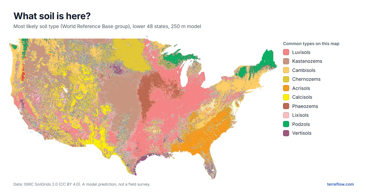 Map of the lower 48 states colored by most likely soil type: Luvisols across the Midwest and South, Kastanozems and Chernozems on the Plains, Acrisols in the Southeast, Calcisols in the desert Southwest.